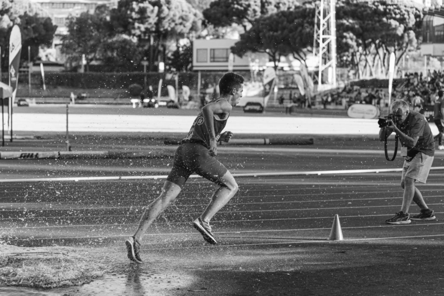 Dettaglio macro di insetto su foglia con gocce d'acqua